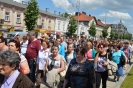 Pielgrzymka 2015_56
